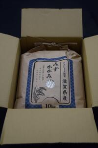 米 みずかがみ 大津市産 精米 10kg ( × 1袋 )