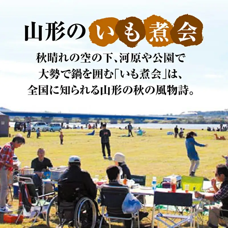 山形のいも煮 内陸味（?油味・牛肉入り）4袋 災害時用の保存食としても！ F2Y-4836