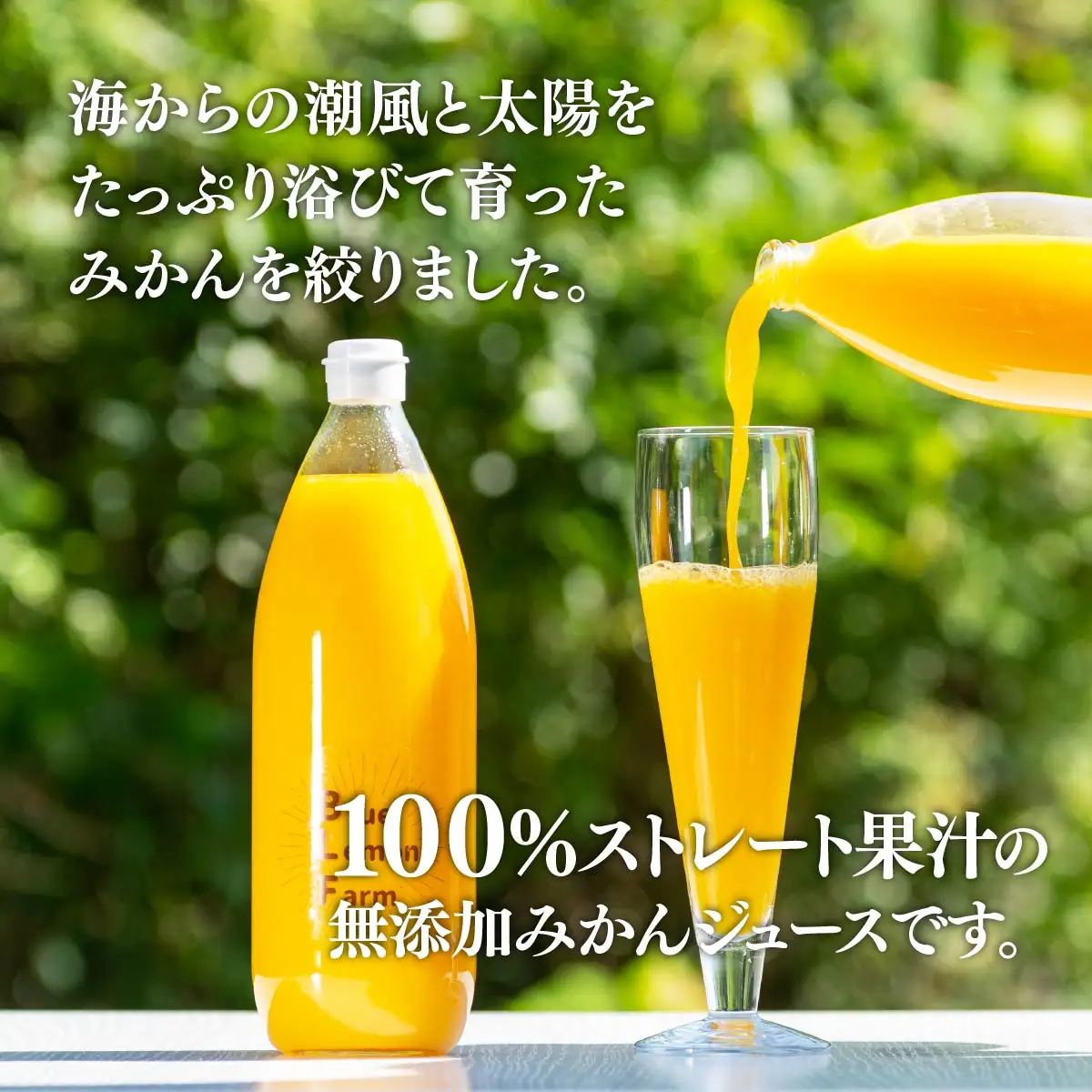 愛媛　ブルーレモンファームのごくしぼりみかんジュース　1L　6本