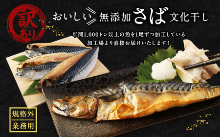 【4ヶ月定期便】【訳あり規格外】 業務用 無添加さば 文化干し 1.9kg