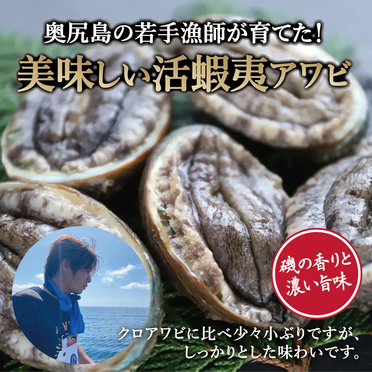 奥尻島産 活蝦夷アワビ（養殖）5ケ入り 75mm以上