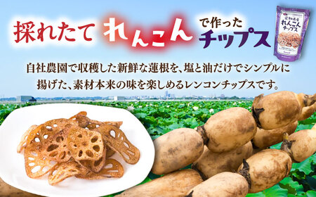 れんこん チップス 30g×5P 蓮根 レンコン / 清水食品[AEAJ003]