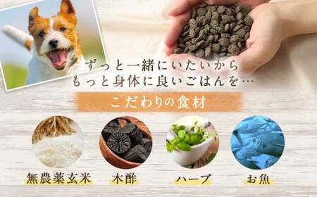 ＜おさかな華 500g＞翌月末迄に順次出荷【BW-j-009】 ビッグウッド株式会社