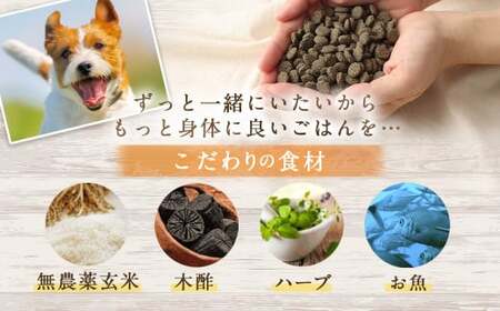 ＜ファインおさかな華 500g＞翌月末迄に順次出荷【BW-j-011】 ビッグウッド株式会社