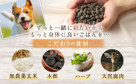 ＜ファインベニソン華 500g＞翌月末迄に順次出荷【BW-j-013】 ビッグウッド株式会社