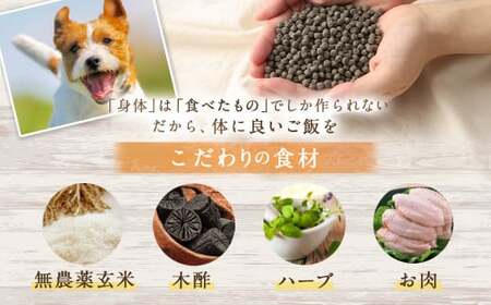 ＜1歳までの愛犬用お試しセット＞翌月末迄に順次出荷【c1065_bw_x2】 ビッグウッド株式会社
