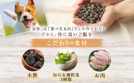 ＜BIGWOOD ダイエット用お試しセット＞翌月末迄に順次出荷【c1066_bw_x2】 ビッグウッド株式会社