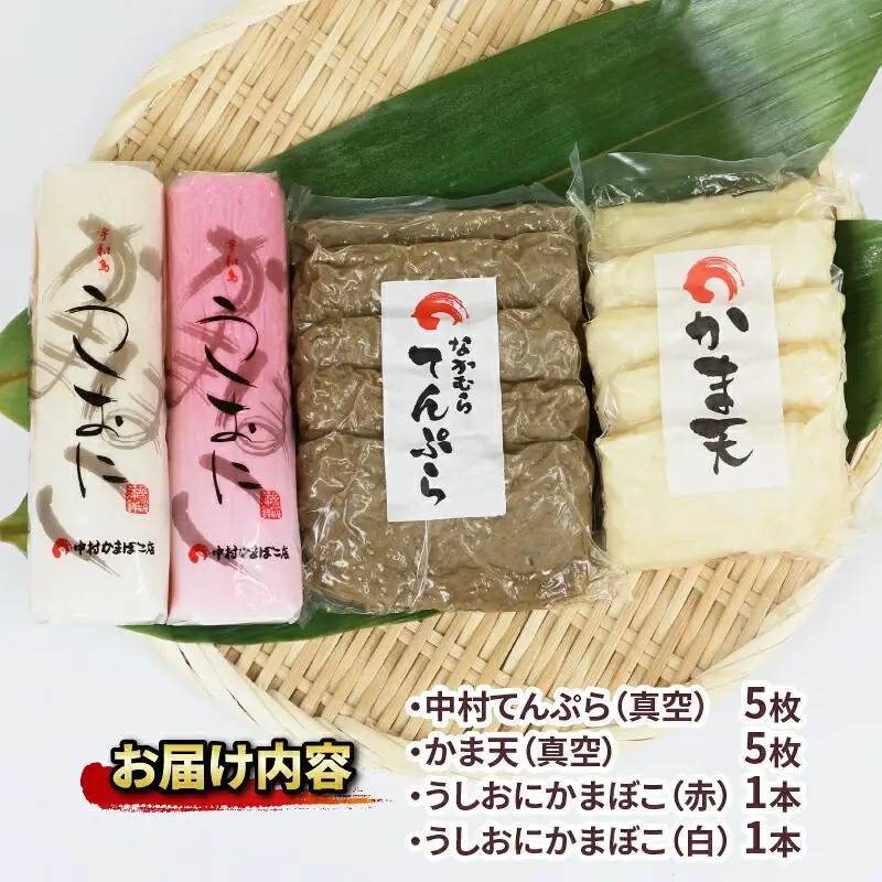 じゃこ天 真空 セット 中村かまぼこ店 かまぼこ C010-013006