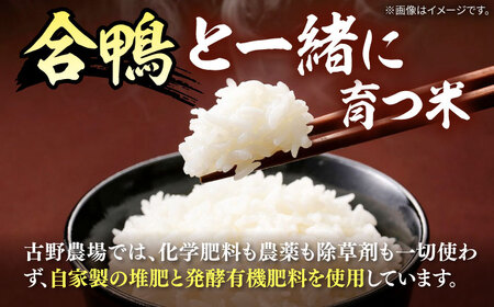  [栽培期間中 農薬不使用 ]令和8年度産 新米 古野農場の 合鴨農法 で作った 合鴨米 （ 白米 ）6kg 桂川町/合鴨家族 古野農場 [ADAL002] 合鴨米 米 白米 お米 無農薬米