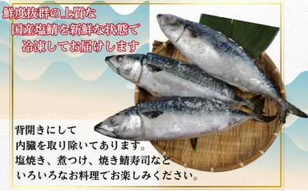 国産塩鯖 大サイズ８尾 約4kg 冷凍 さば サバ 鯖 国産 塩 美味しい 国産鯖 青魚 塩鯖 新鮮 海鮮 バーベキュー 千葉県 銚子市