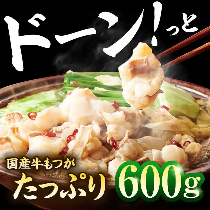 もつ鍋 あごだし醤油味（5-6人前）もつ鍋 ADAN018