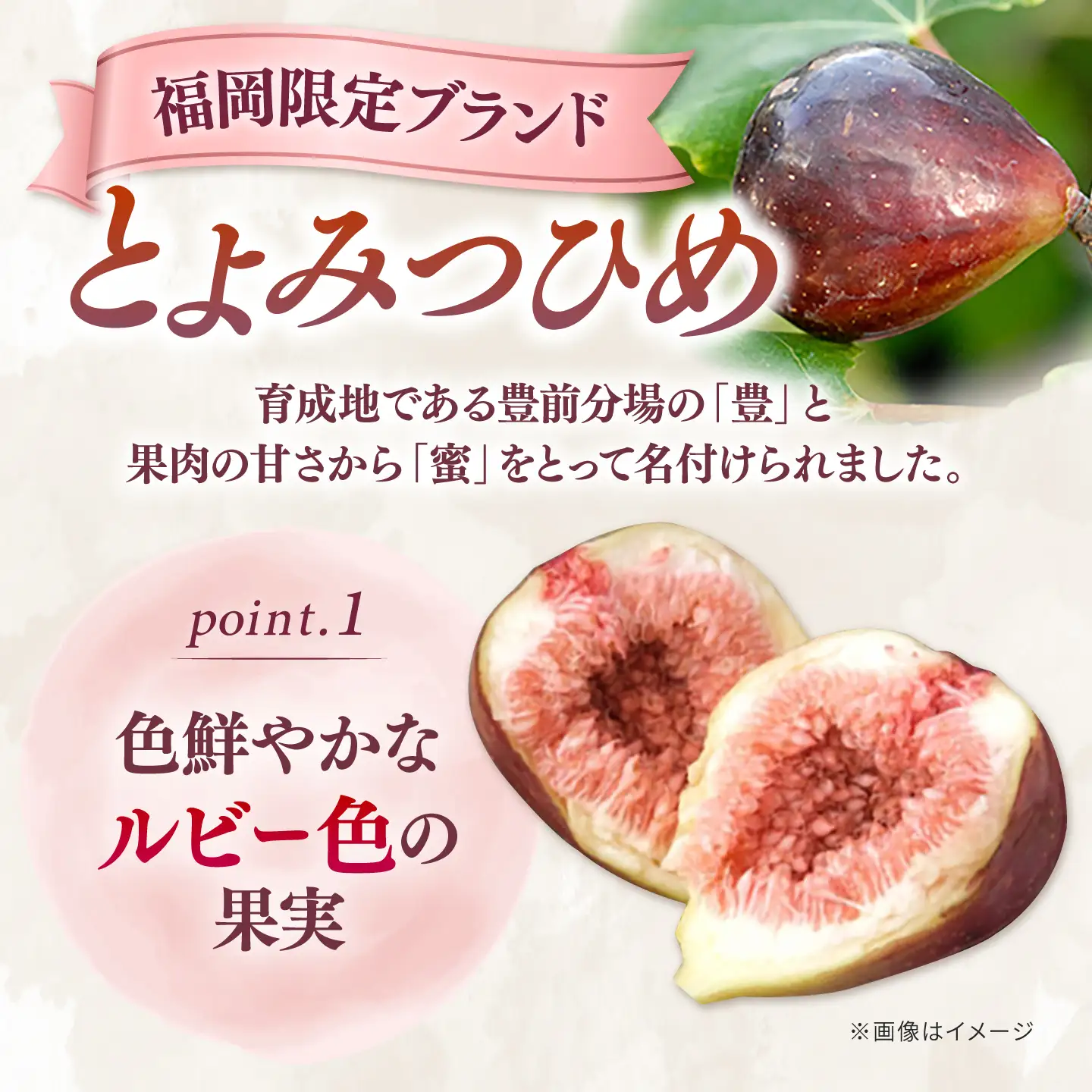 いちじく とよみつひめ 秀品 1.2kg [ADAY001] いちじく