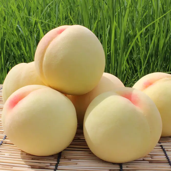 【ご家庭用】おかやまの桃 約1.8kg（7～9玉）【27年7月上旬以降に順次発送】