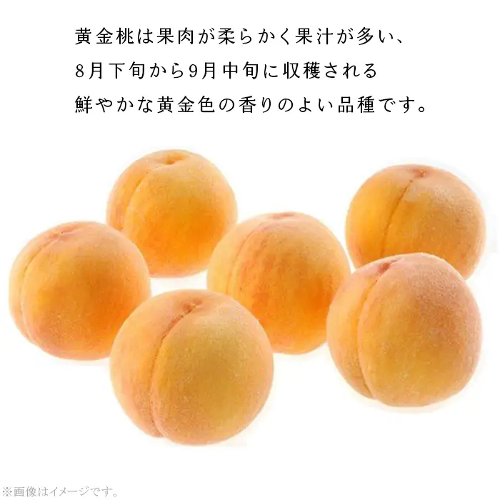 【ご家庭用】おかやまの「黄金桃」約1.8kg（7～9玉）【27年8月下旬以降に順次発送】