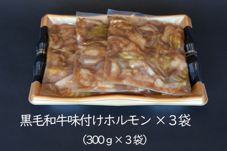 宮崎県産黒毛和牛濃厚味付けホルモン900g（ 牛 国産 ホルモン 300g 3パック 焼肉 炒め物） 焼肉 和牛焼肉 牛肉焼肉 ホルモン焼肉 国産焼肉