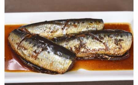 骨までやわらか 銚子近海産 真いわしとろ炊 3尾入り 1袋×10袋 いわし 煮物 煮付け