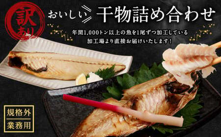 【訳あり規格外】  業務用 干物 詰め合わせ どーんと！ 1.7kg 3種 セット さば サバ 鯖 縞ほっけ ほっけ ホッケ あじ アジ 鯵 魚
