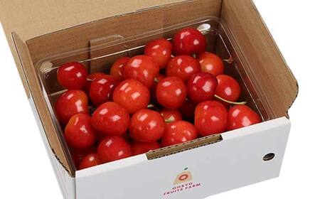 【2027年先行予約】さくらんぼ 紅秀峰 500g 秀品 2L～3Lサイズ FSY-1278