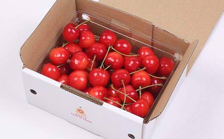【2027年先行予約】さくらんぼ 佐藤錦 500g 秀品 L～2Lサイズ FSY-1279