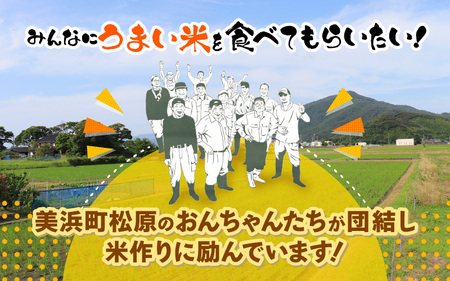 【先行予約】【令和7年産・新米】コシヒカリ（玄米）エコ栽培米 30kg（30kg×1袋）【2025年9月中旬以降順次発送予定】【福井県産 お米 ブランド米 玄米 精米 ご飯 おにぎり お弁当 和食】 [m26-d002]