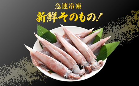 【先行予約】イカ お刺身で食べる 天然 ヤリイカ 約1kg【2027年2月中旬以降順次発送予定】 活きたイカをご提供している漁師が活〆！急速冷凍 鮮度格別！若狭湾 福井 刺身 [m36-b009]