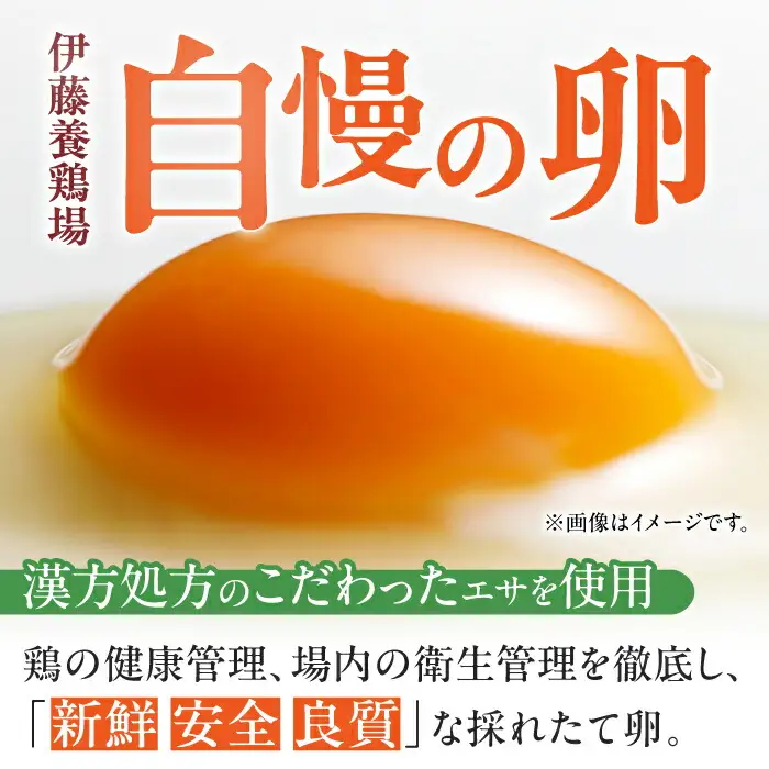 【12回定期便】きみ恋し 箱入り 60個（55個+割れ保証5個）×12ヶ月　総計720個  [AFAJ011]
