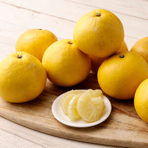 【令和9年3月】オレンジ園の土佐文旦５kg  柑橘 フルーツ ミカン みかん 蜜柑 ザボン ぶんたん ブンタン 果物 くだもの 果汁 おやつ デザート 食品 甘い 酸味【R01088】