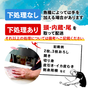 【産地直送】 三陸の旨い魚！季節の鮮魚便 2kg?3kg 《下処理あり》 おまかせ さかな おさかな 魚 鮮魚 新鮮 生魚 焼き魚 FISH ごはん 夕飯 おかず おつまみ 晩酌 米 丼 海産物 海鮮 魚介 魚介類 大船渡 三陸 岩手県 国産