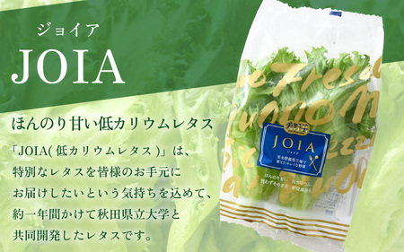 定期便 ≪6ヶ月連続お届け≫ 低カリウムレタス&フリルレタス　計6個セット 全6回 【福井県美浜町産】【野菜 生野菜 レタス サラダ サンドイッチ お弁当 水耕栽培 洗わず食べられる 時短 付け合わせ ダイエット ヘルシー】レタス フリルレタス 野菜 サラダ ダイエット ヘルシー [m40-c001]