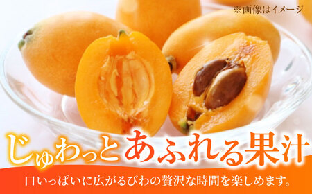 【★先行予約★ 2027年4月末発送開始】びわ 約250g(3-7個)×4パック / びわ [AFAB002]