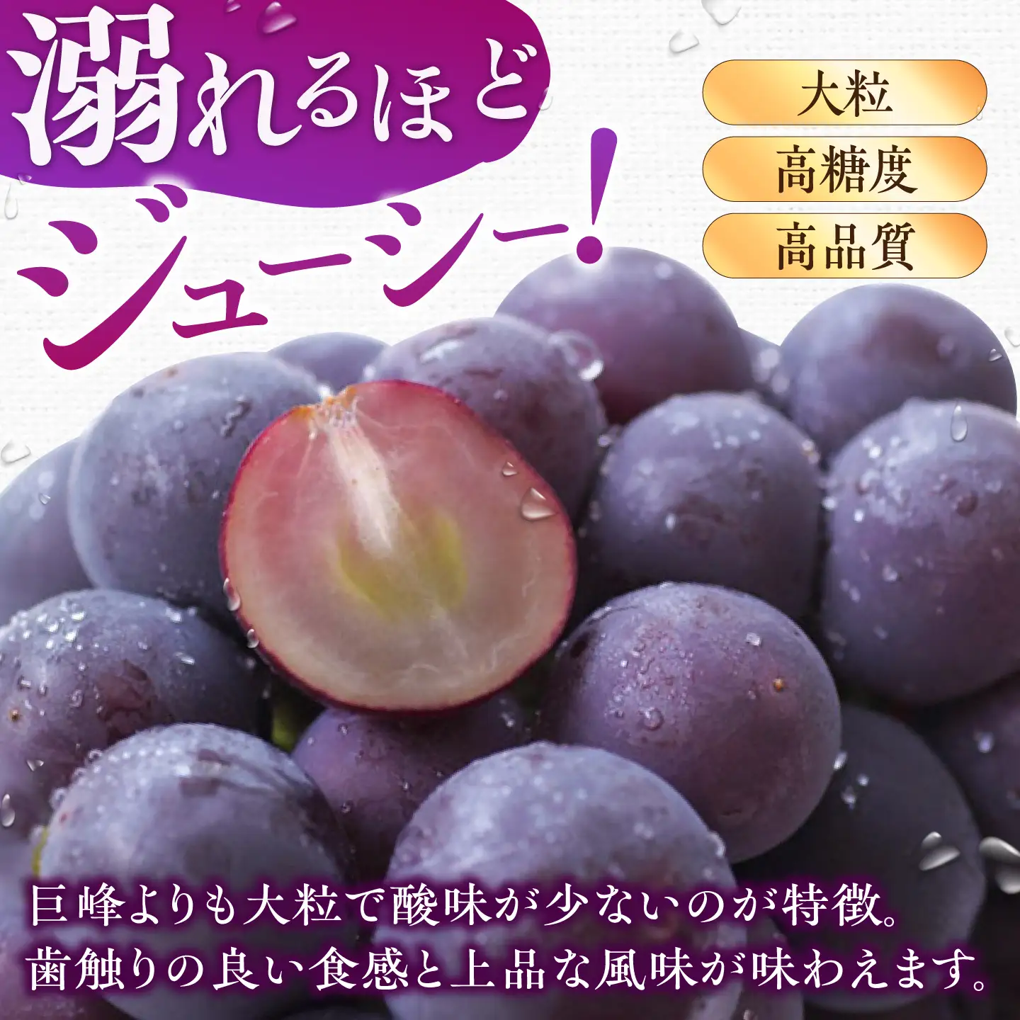ぶどう 1.4kg ピオーネ 先行予約 2026年7月中旬より発送 | ピオーネ [AFAB047]