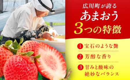 二回定期便 あまおう 270g×2【2月先行予約】[AFAB018] いちご