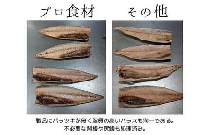 プロ食材 サバフィーレ 3kg 無塩 無塩鯖 さば サバ 鯖フィーレ 焼魚 煮魚 揚げ 料理 さかな