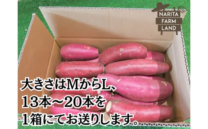 さつまいも 紅はるか 成田市産 焼き芋 さつまいも