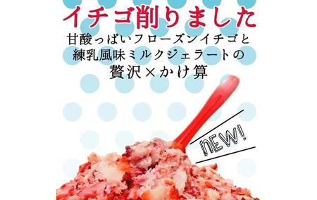 小泉農園ジェラートとイチゴ削り　8個セット 【kw0221-0001】