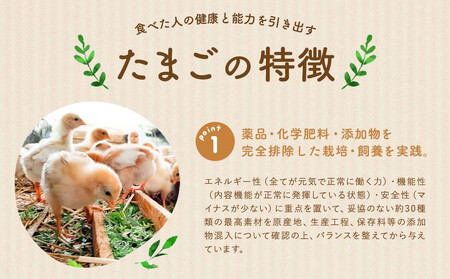 【定期便：12か月】【食べチョクアワード2025 畜産部門 1位の日本一のたまご】単なる平飼いではない究極の卵『わたしたちのぷらいどたまご』3パック（30個）セット