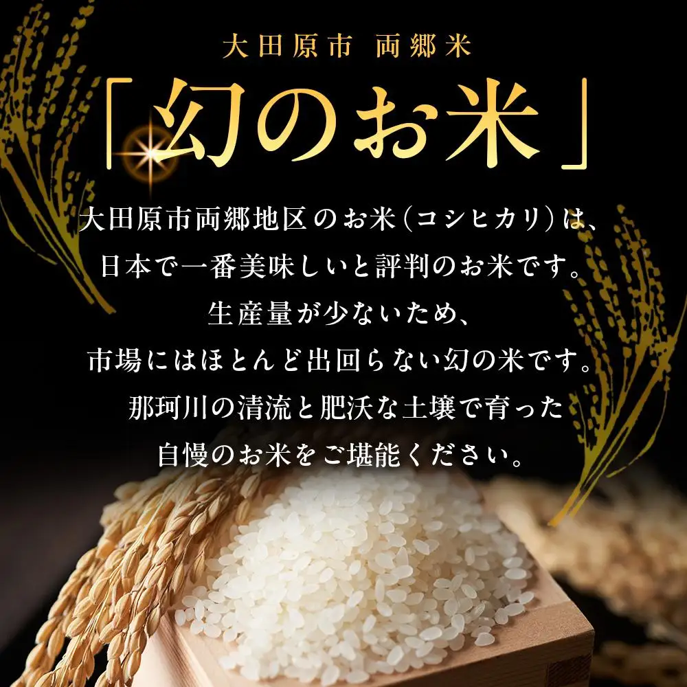 地元産 両郷米 10Kg ×1袋 ｜  お米 コシヒカリ こしひかり 栃木県 大田原市