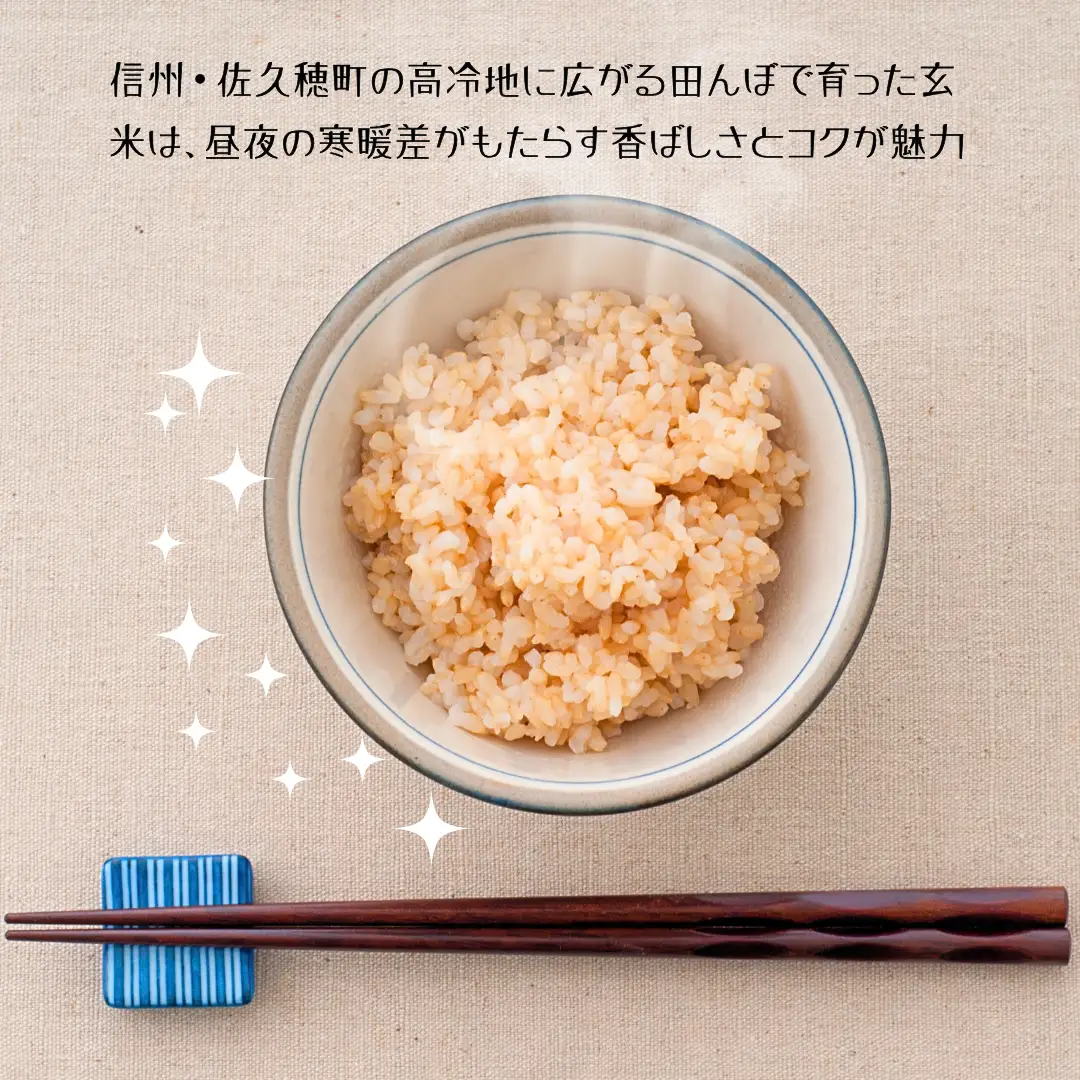 【令和8年産】いでさん家のあきたこまち　玄米10kg［ID-102］