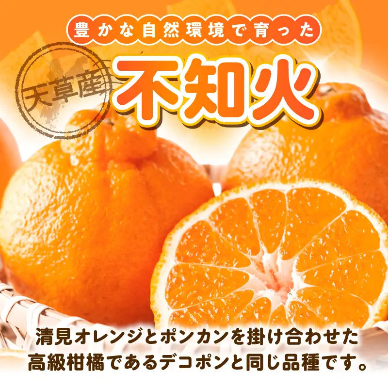 S153-001_天草産 不知火 約3kg