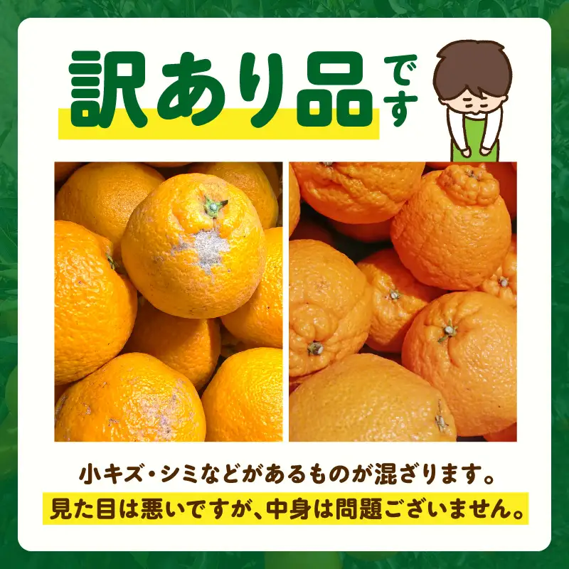 S153-002_天草産 訳あり 不知火 約5kg