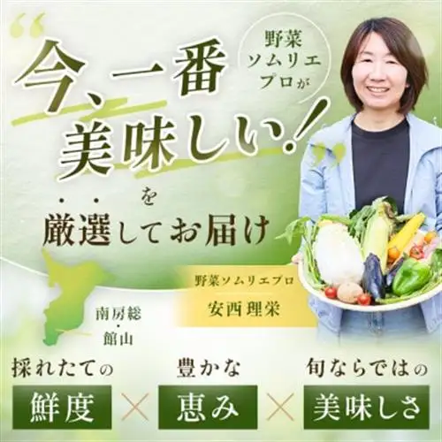 野菜ソムリエプロ厳選!こだわりの旬野菜BOX「リエビン」季節の野菜セット【配送不可地域：離島・沖縄県】【1488314】