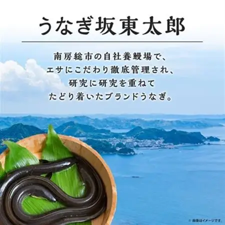 天然 に近づけた究極の養殖 鰻「坂東太郎 使用」 うなぎ 蒲焼 小サイズ 80g前後×5串【配送不可地域：離島】【1488907】