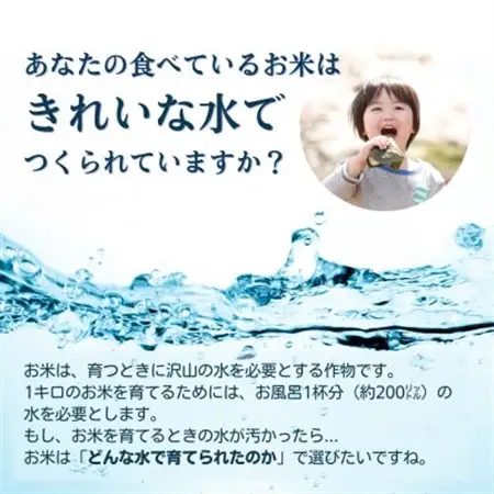 霧ヶ峰の水が育んだお米(レンジアップごはん)10個_惣菜・加工品 レトルト      米 こめ コメ_【1492421】