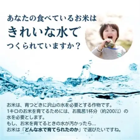 霧ヶ峰の水が育んだお米(レンジアップごはん)20個_惣菜・加工品 レトルト      米 こめ コメ_【1492423】