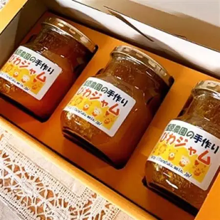 福原農園の無添加びわジャム(200g×3瓶)セット【1487224】