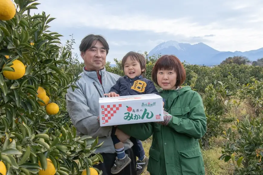 DD002 【令和8年10月下旬から順次発送】森崎果樹園の露地もの完熟温州みかん（12kg）