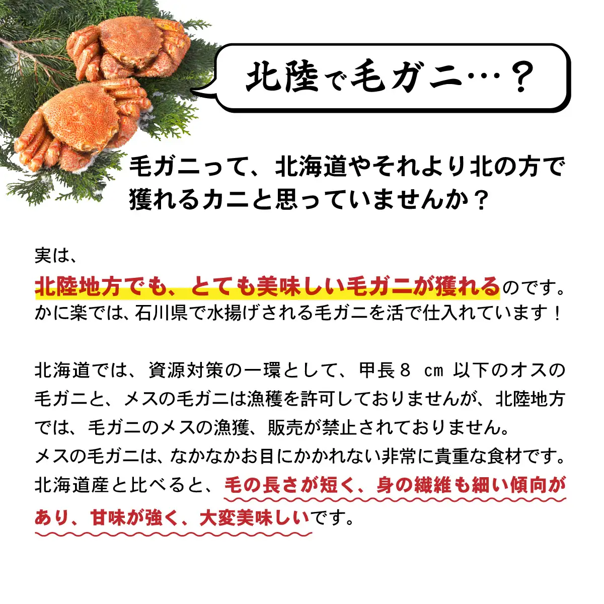 【訳あり】蟹好き集まれ！選べる北陸産毛ガニ 甲羅盛Bセット【70,000円コース】[G-096009_02] / カニ 蟹 かに ケガニ 毛蟹 毛がに 雌 ゆで 茹で 茹でがに ボイル 甲羅盛 甲羅盛り かに酢 手軽 国産 冷凍 甲羅蟹 甲羅がに ワケアリ 訳アリ 
