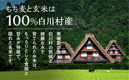 訳あり 白川村産 寝かせ玄米もち麦ごはん 12個 パックごはん パックご飯 パックライス レトルト 白川郷 こしひかり コシヒカリ 訳アリ 常温 防災 こめ コメ 新生活 応援 こだわりの お米 岐阜県 飛騨 高山米穀 13000円[S740]