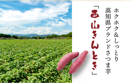 さつまいも 人気 西山きんとき芋 サツマイモ 訳あり 5kg