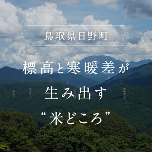 【1～5営曜日以内発送】【お試し】鳥取県日野町産コシヒカリ 玄米ごはん 玄米パック 160g×12個入り おこめのみかた パックごはん パックご飯